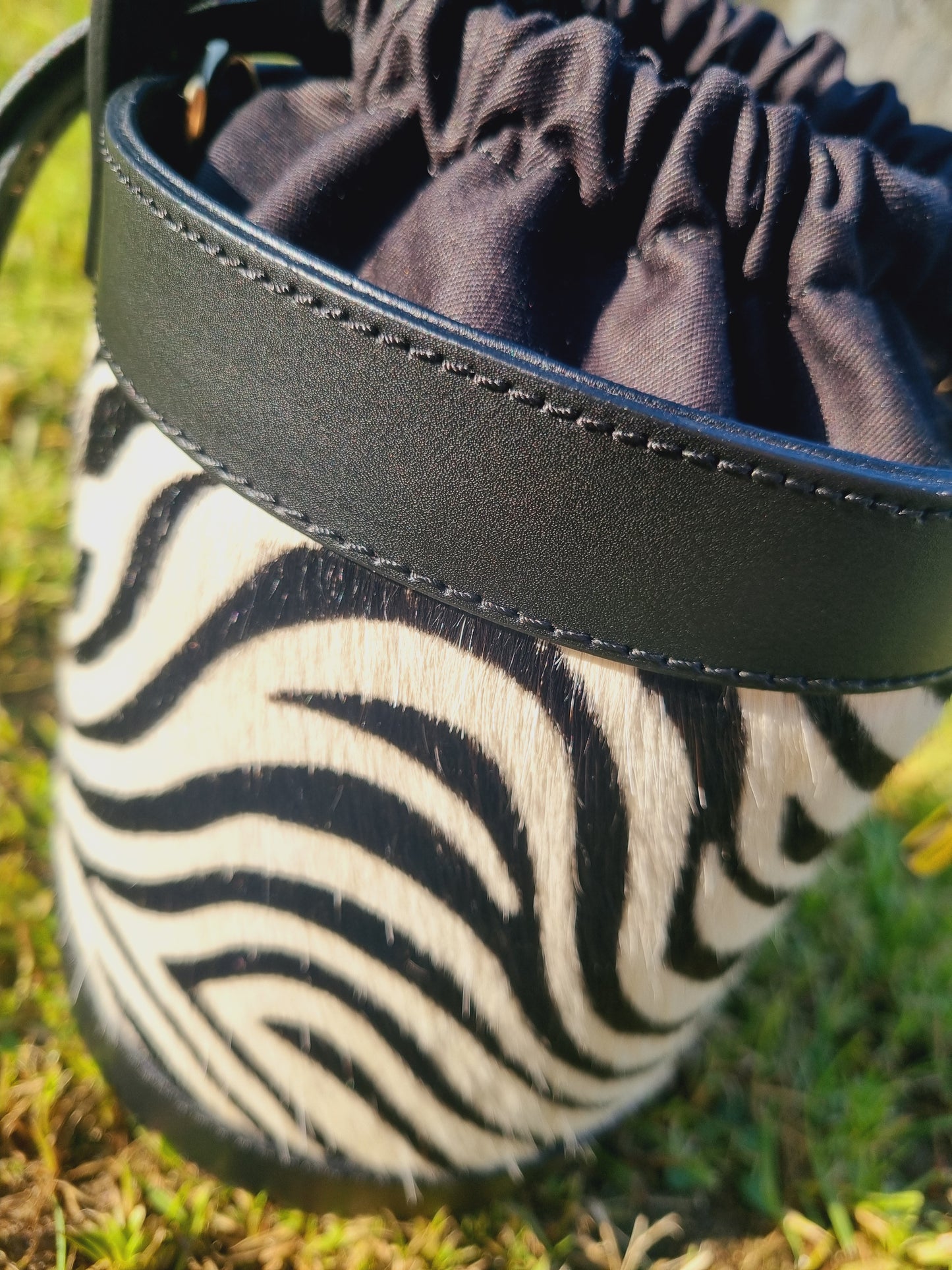 Mala Zebra